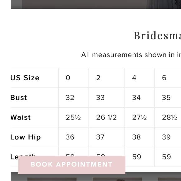 NWT SIZE 4 SYLVEE OLEG CASSINI SAGE GOWN - Picture 6 of 9